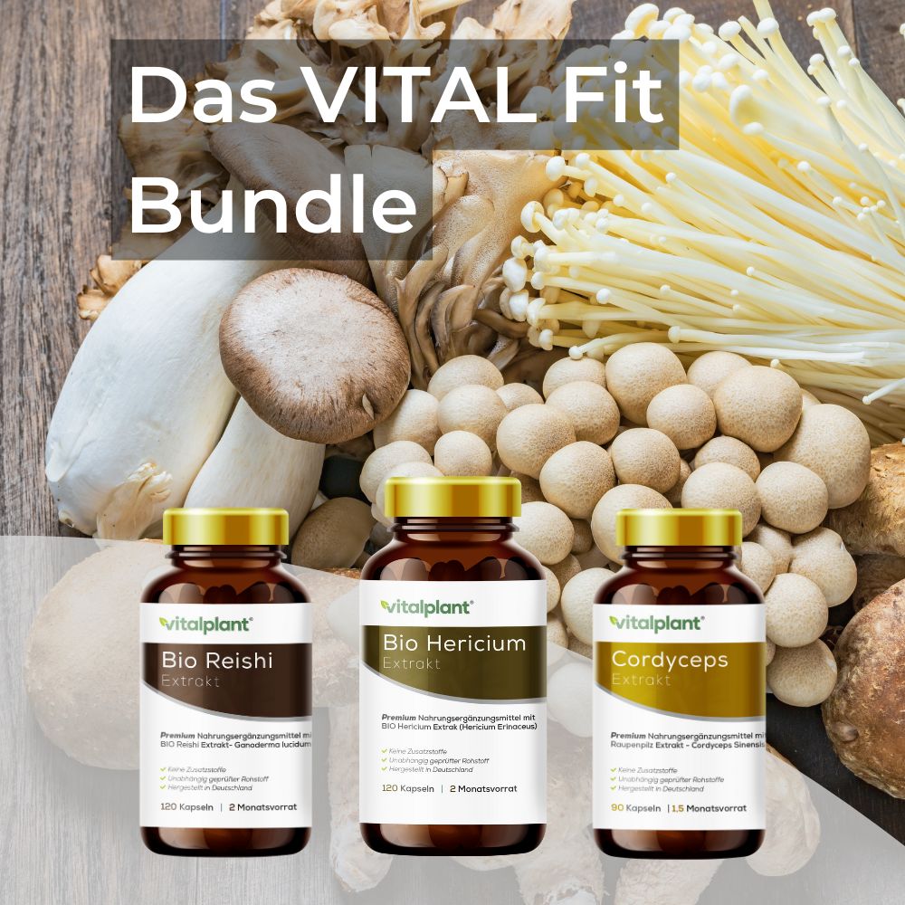 Das VITAL Fit - Bundle