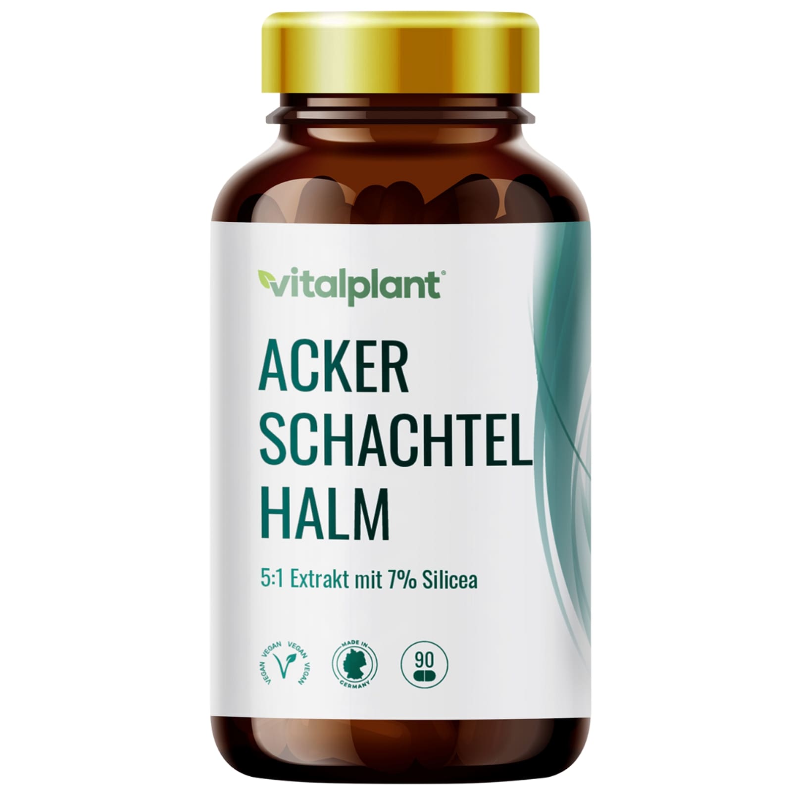Ackerschachtelhalm Extrakt